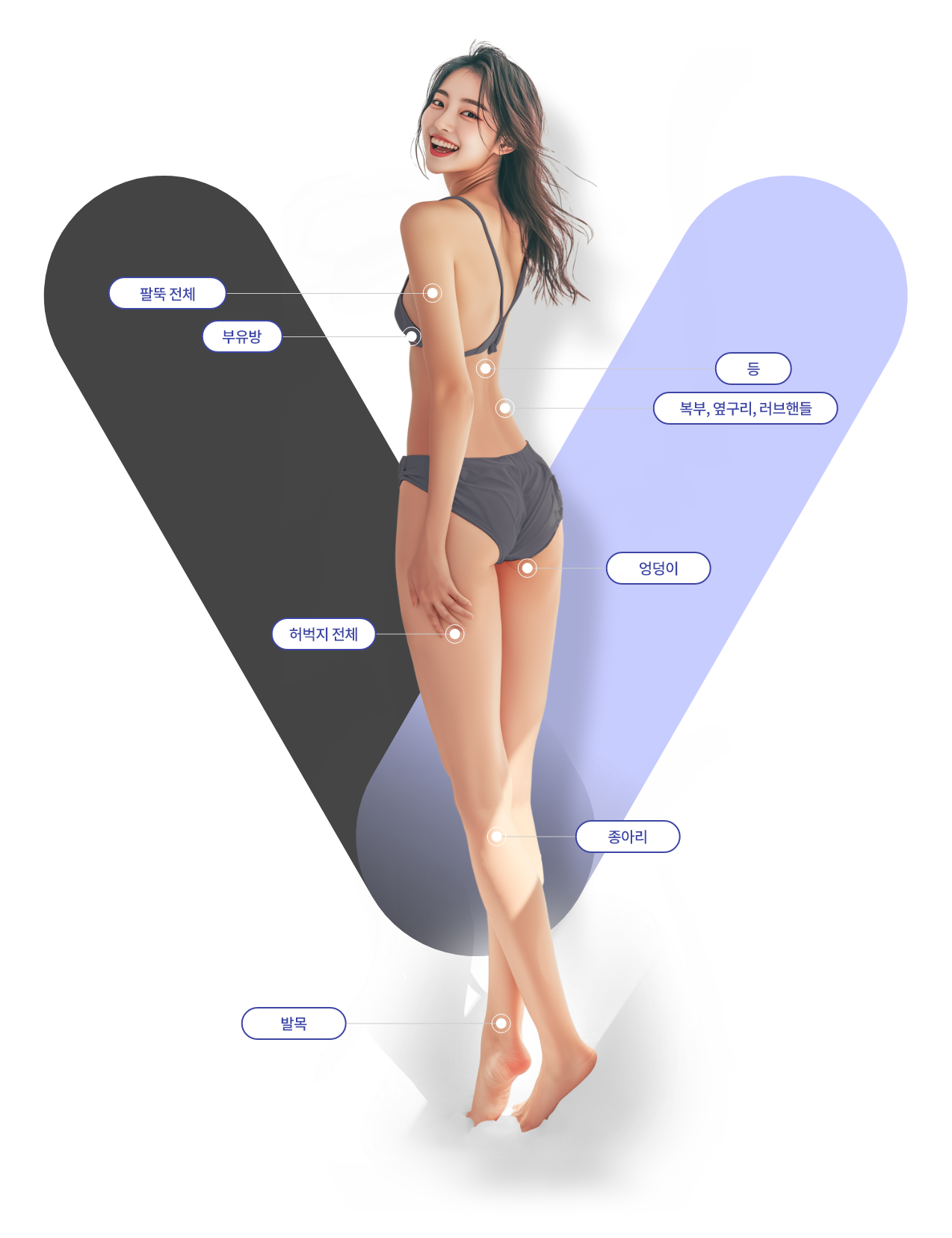 어깨/등/복부,옆구리,러브핸들/엉덩이/종아리/발목/허벅지 전체/팔뚝 전체/부유방/팔꿈치