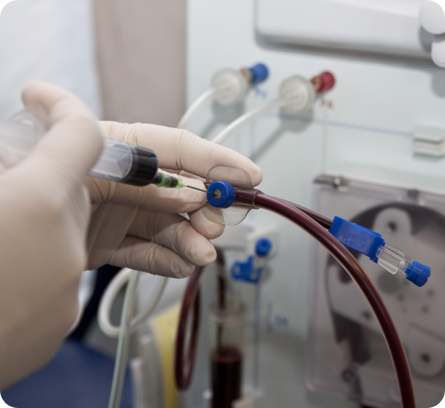 혈액투석