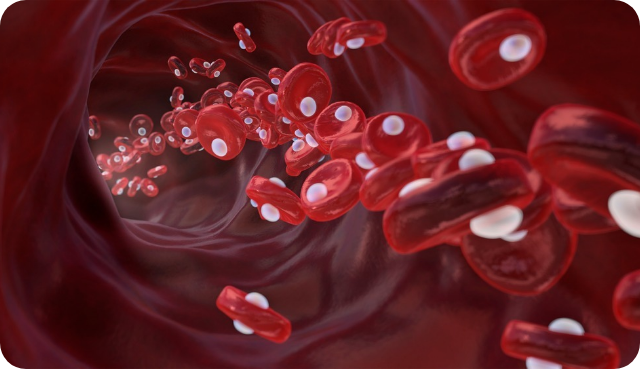 고압산소치료 이미지