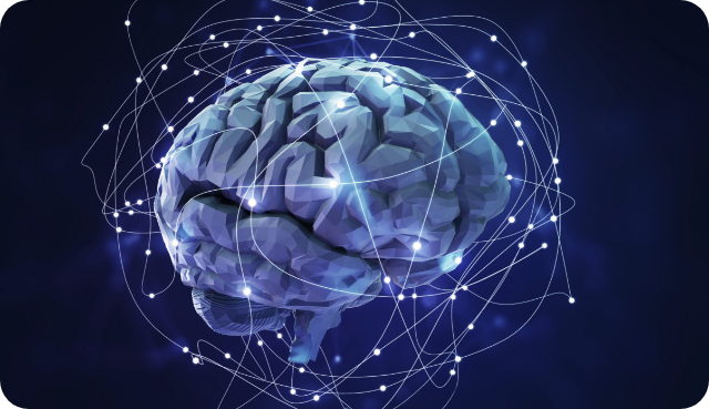 자율신경계 이미지